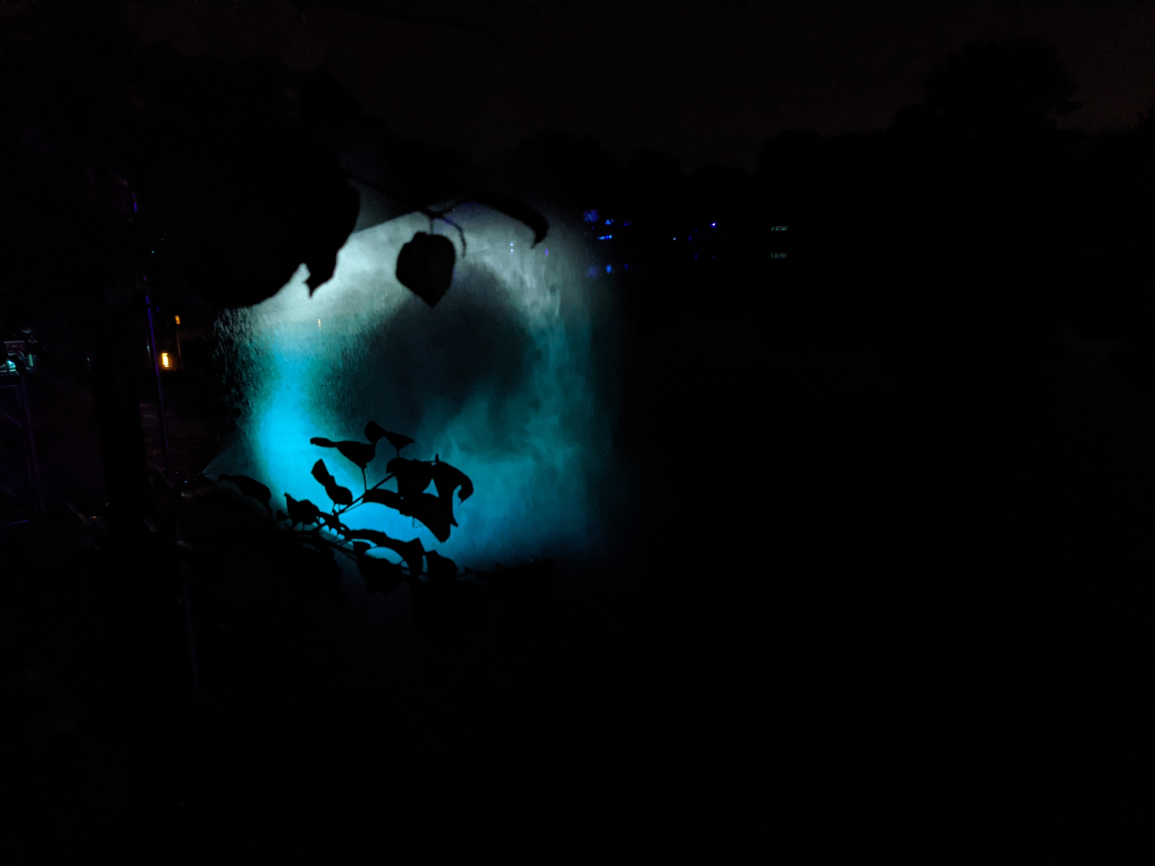 Projection sur bruine